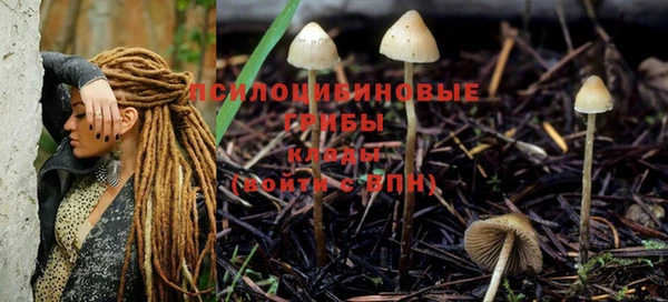 MDMA Premium VHQ Алзамай