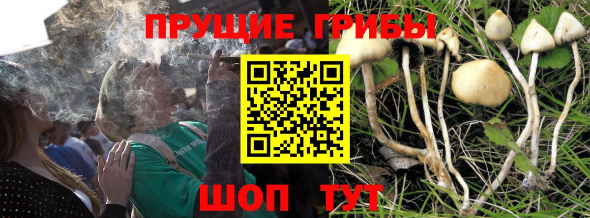 Псилоцибиновые грибы MAGIC MUSHROOMS Амурск