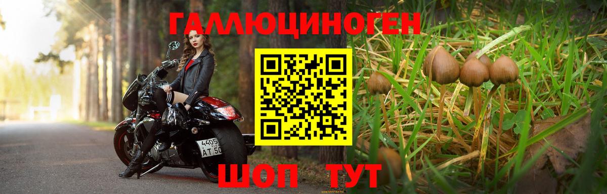 Экстази  Вход с VPN  Меф   Cocaine  ГАШ  МАРИХУАНА  Амурск  Гашиш 